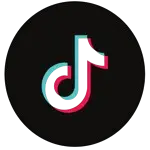 tiktok-abswood